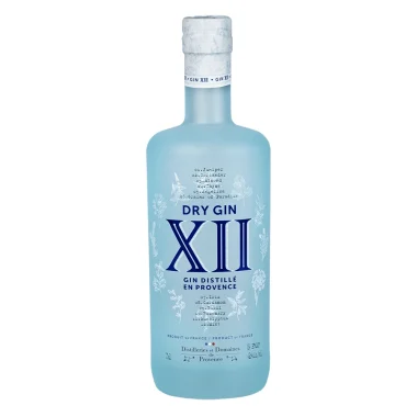 GIN XII 0,7L 42°